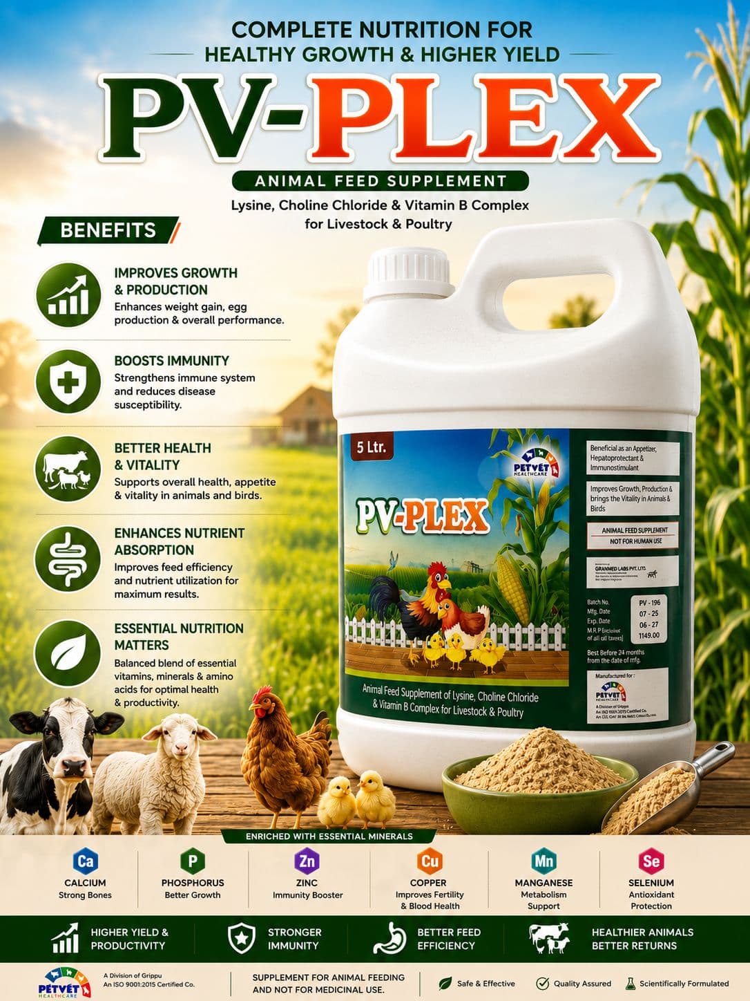 PV-PLEX