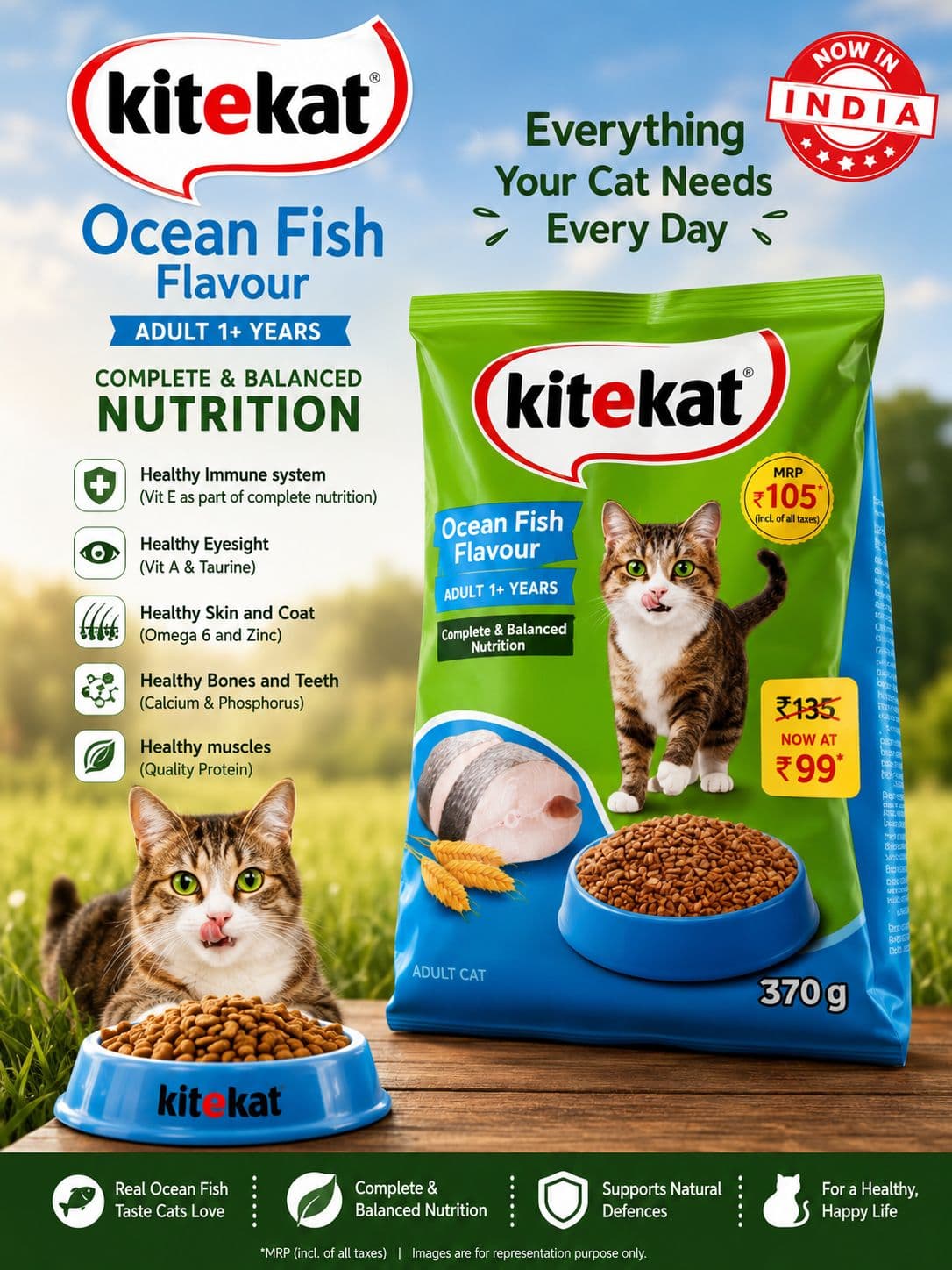 KiteKat Adult 1+year Cat Food (Ocean Fish)