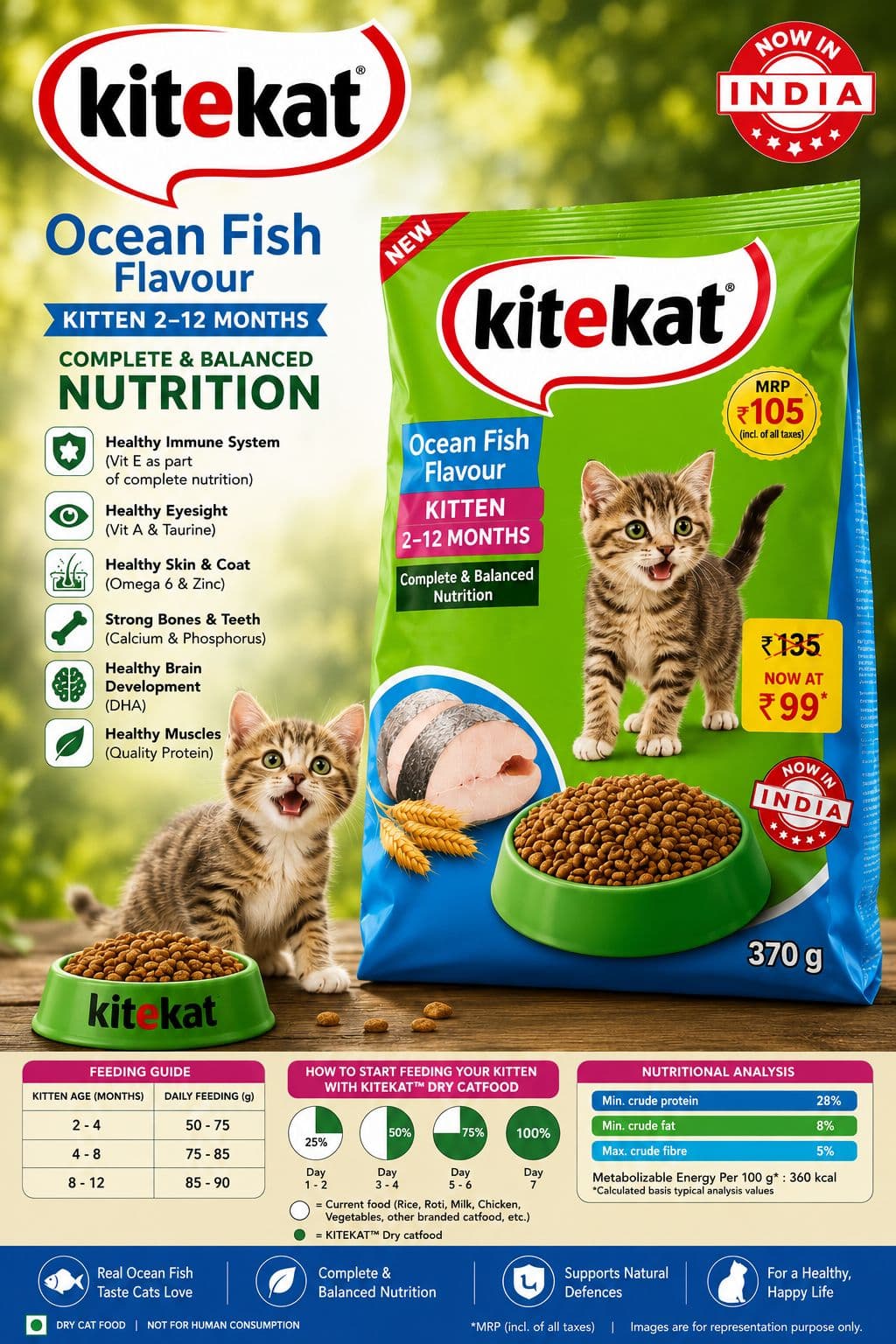 KiteKat Cat (2-12 Months, Ocean Fish)