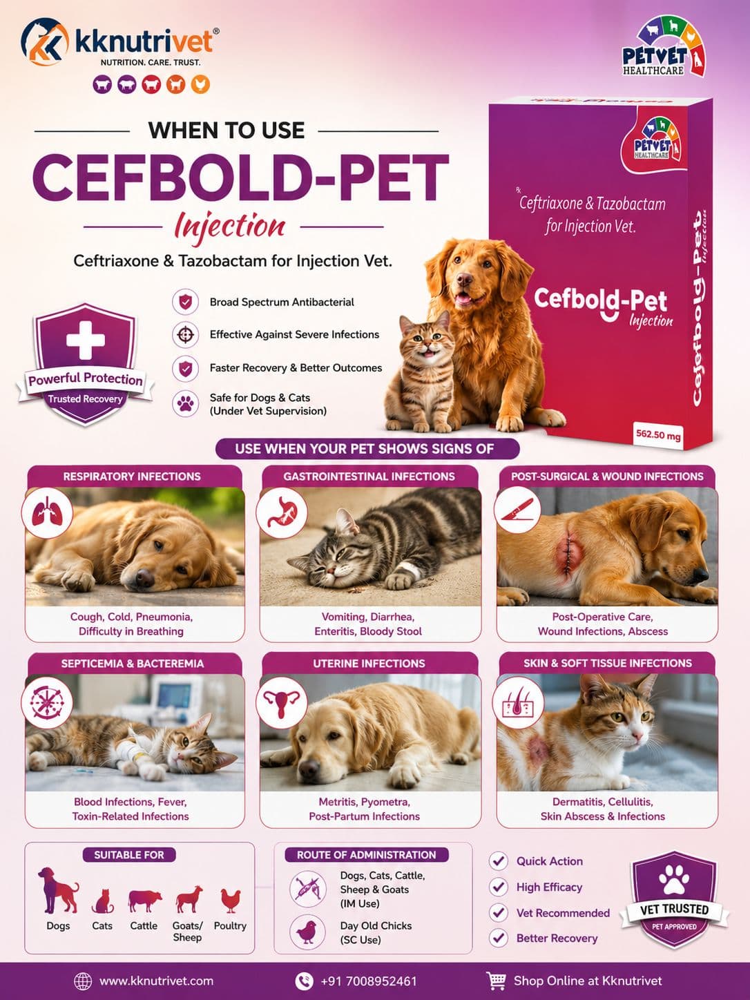 CEFBOLD-PET INJ