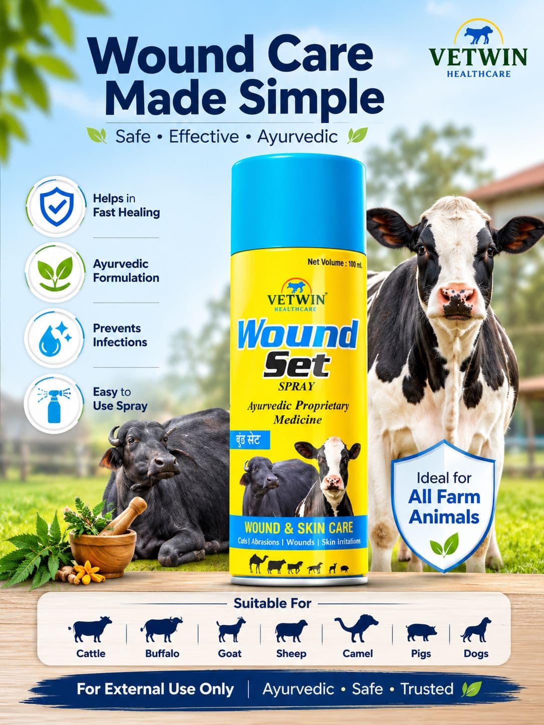 Woundset Spray (2 * 100 ml)