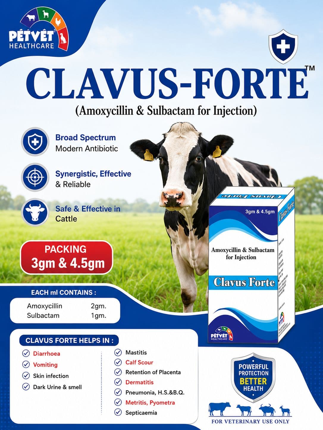 Clavus-Forte