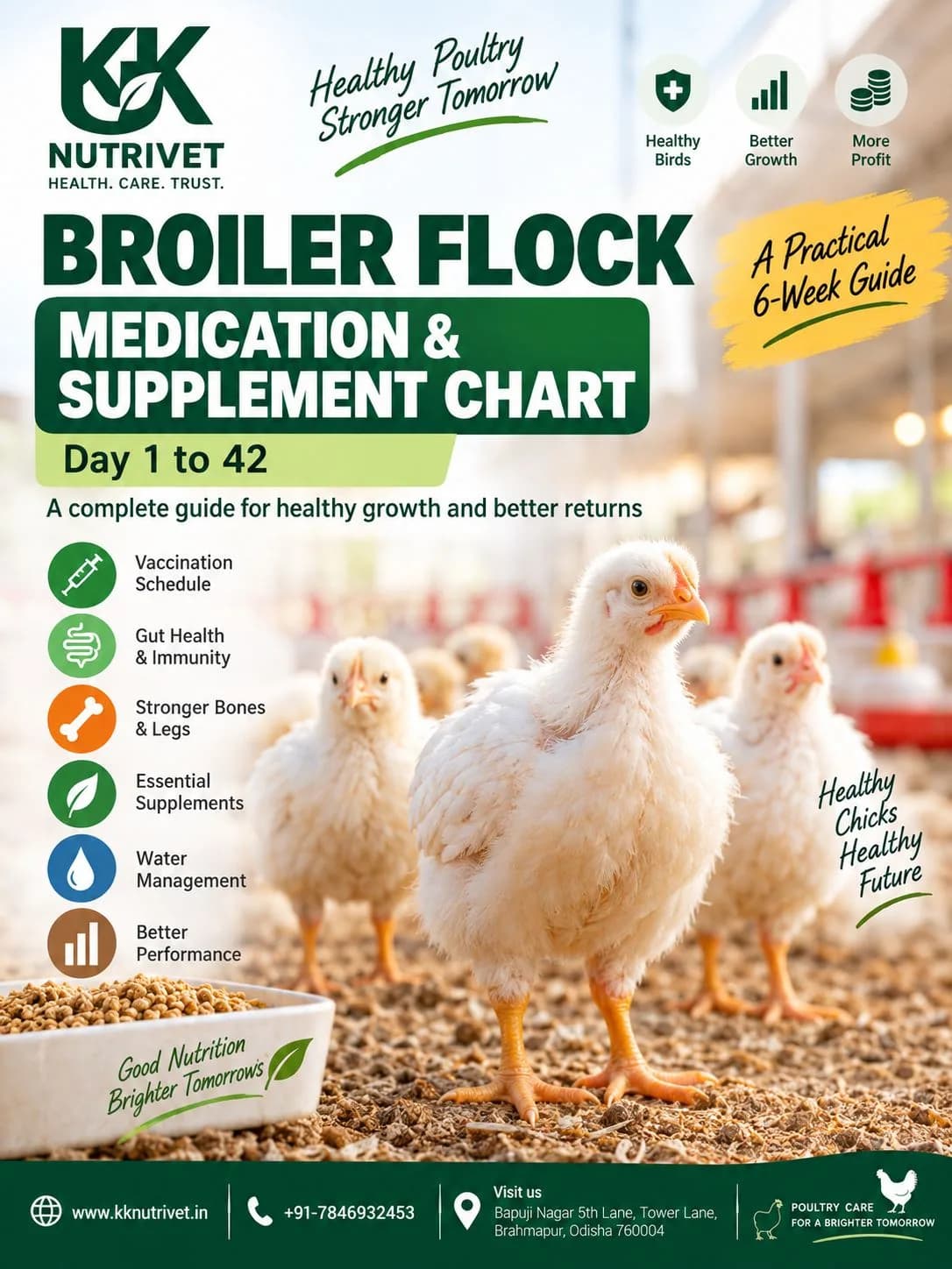 Broiler Flock Medication & Supplement Guide: Day 1 to 42